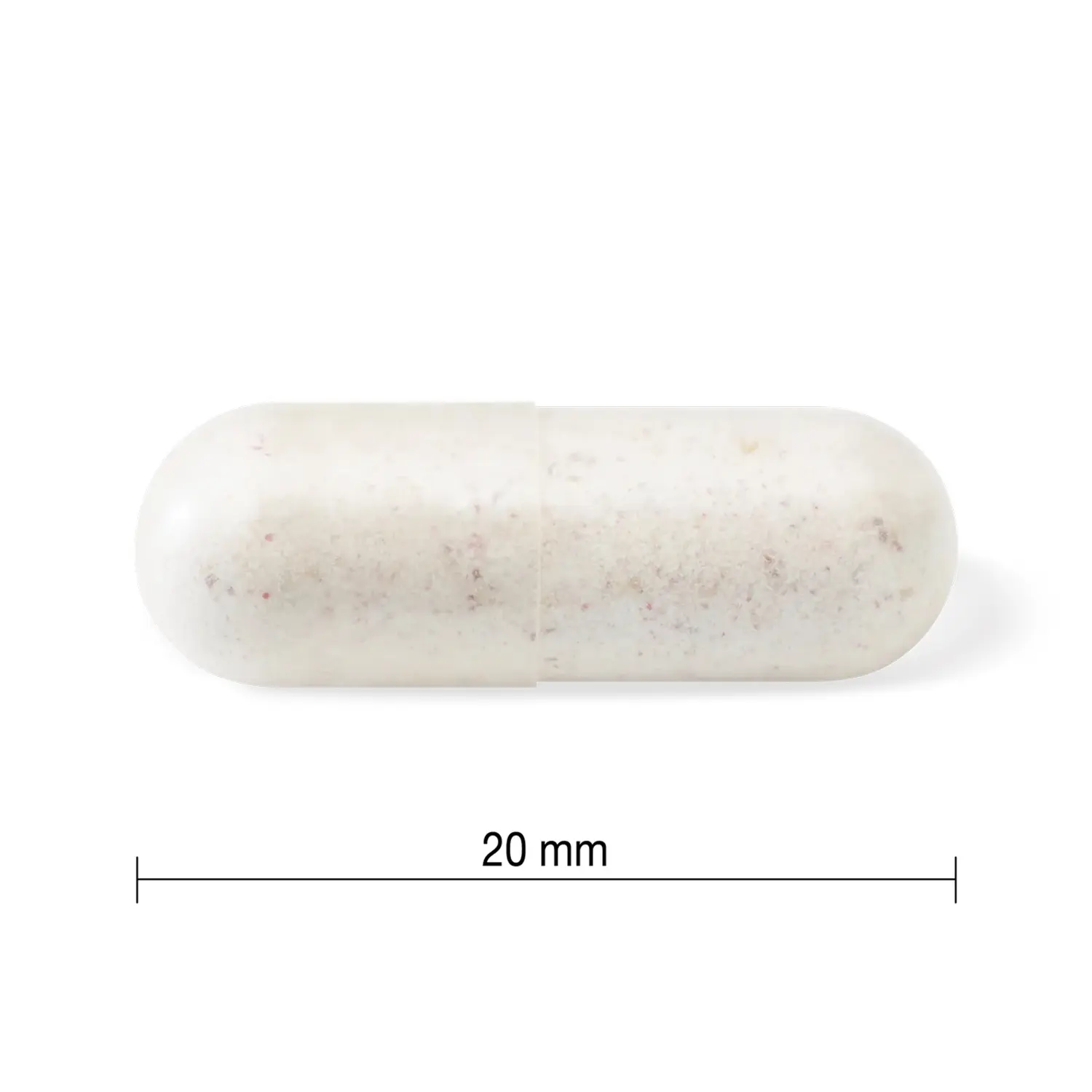 Jamieson 10 тэрбум пробиотик PROBIOTIC | 10 BILLION №60