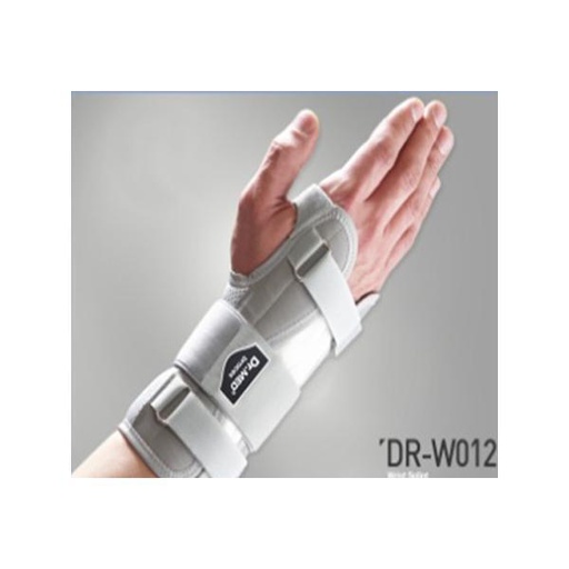 [300137] Бугуйн чиг В4-004 L