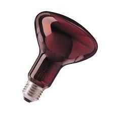 [300717] Шарлагын аппаратны гэрэлний запас Momert Exclusive - Momert co.ltd (HUN)